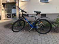 Herrenfahrrad Bulls 28“/dasistmeinrad 28“ Nürnberg (Mittelfr) - Südstadt Vorschau