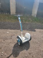 Segway Ninbot/ Scooter Sachsen - Kriebstein Vorschau