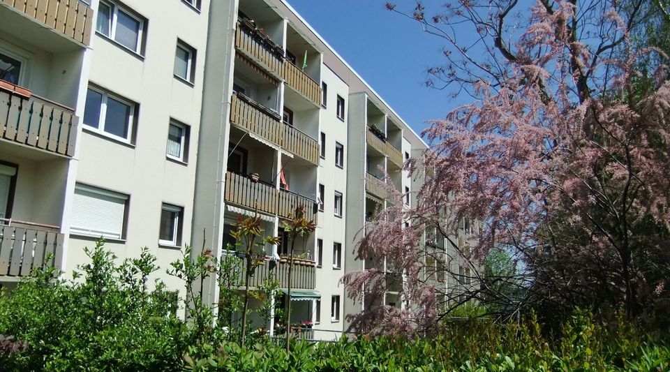 Eigentumswohnung 3 Zimmer/Küche/Bad/Balkon mit Stellplatz in Naumburg (Saale)