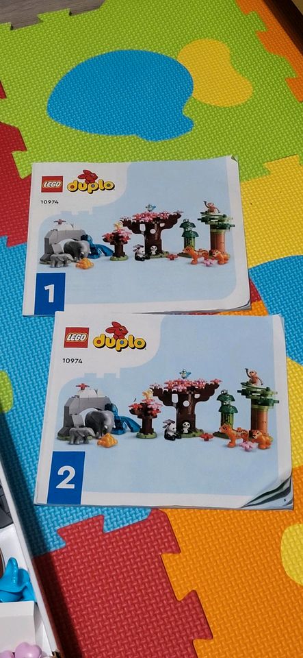 LEGO duplo Wild Animals of Asia 10974 neuwertig in Bernsbach 