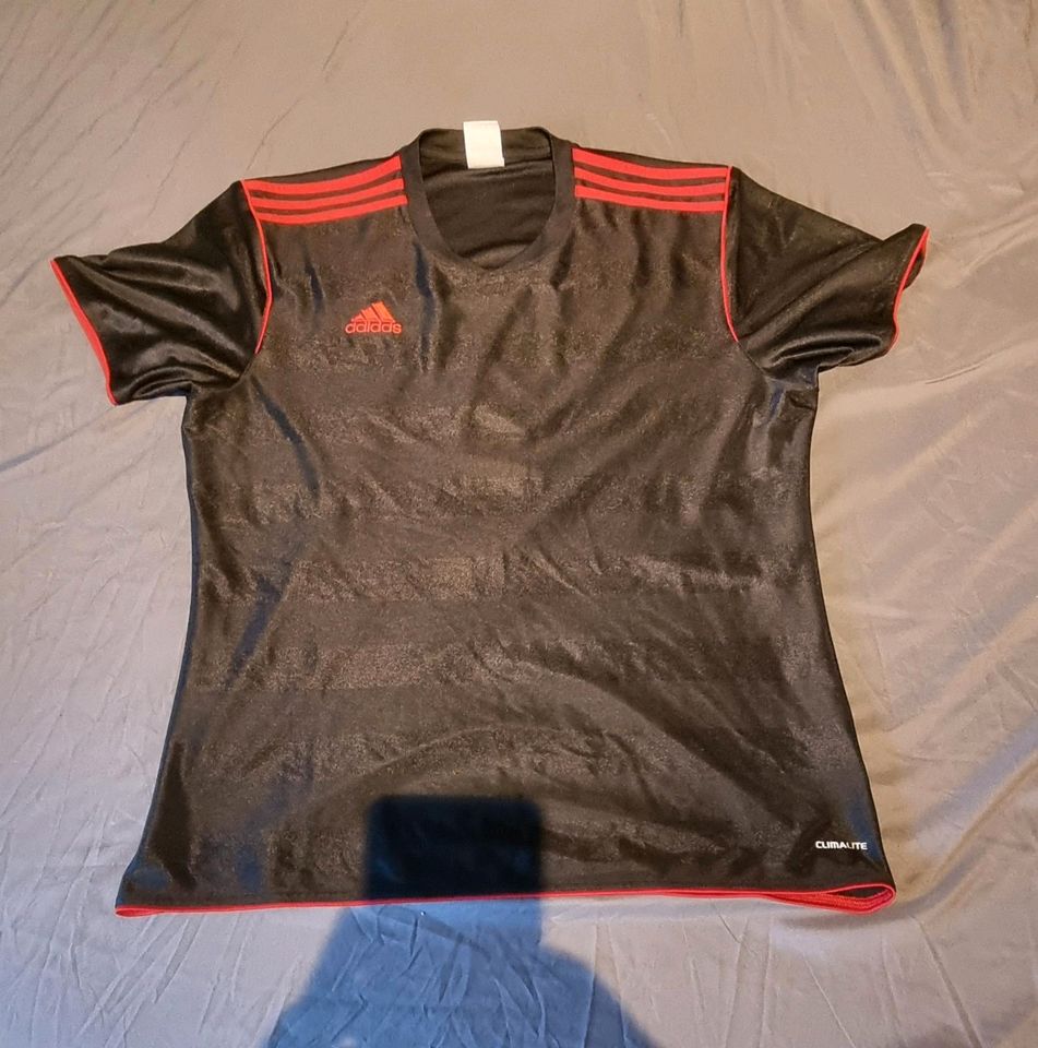 Adidas Torwartrikot in Obersüßbach