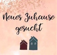 Haus oder Wohnung zur Miete gesucht Niedersachsen - Emden Vorschau
