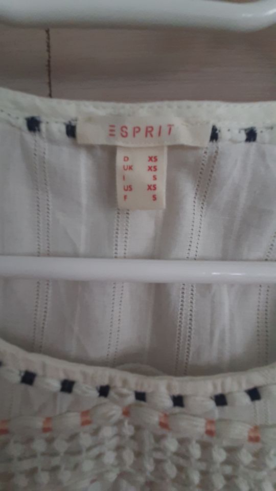 Esprit Top, Spitzenshirt in Aichwald