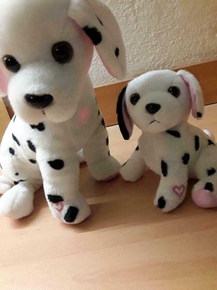 Hunde Mutter mit Kind, bellen,leuchten bei Trennung zusammentreff in Lübeck