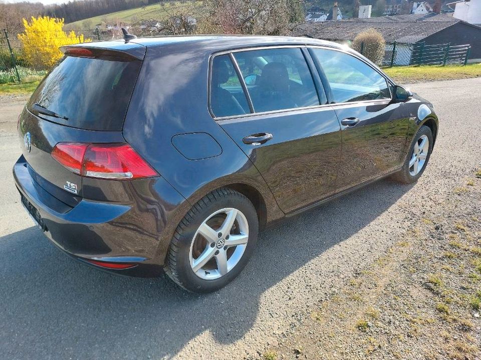 VW Golf VII Lounge 1.4 TSI **ACC**Standheizung**Xenon** in Aßlar