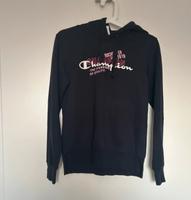 Champion Pulli Niedersachsen - Emden Vorschau