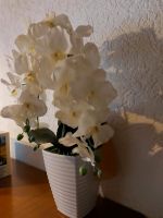 Verkaufe ein schöne künstliche  blume(Orchidee ) Duisburg - Walsum Vorschau