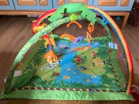 Fisher Price Spielbogen mit Musik/ Spielmatte Rheinland-Pfalz - Breunigweiler Vorschau