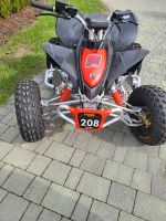 Quad Can-am DS 90X Bad Doberan - Landkreis - Bentwisch Vorschau