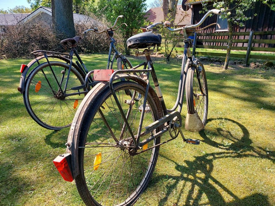 Historische Fahrräder NSU; BÜSSING-CUMBERLAND  50ziger Jahre? in Lachendorf