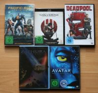 5 DVD´s Avatar, Deadpool, Pacific Rim, ... Sachsen-Anhalt - Thale Vorschau