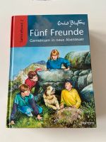 Buch Fünf Freunde Enid Blyton Baden-Württemberg - Esslingen Vorschau