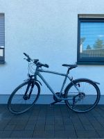 Focus Herren Fahrrad Trekking Bike Gr.L Nordrhein-Westfalen - Lohmar Vorschau