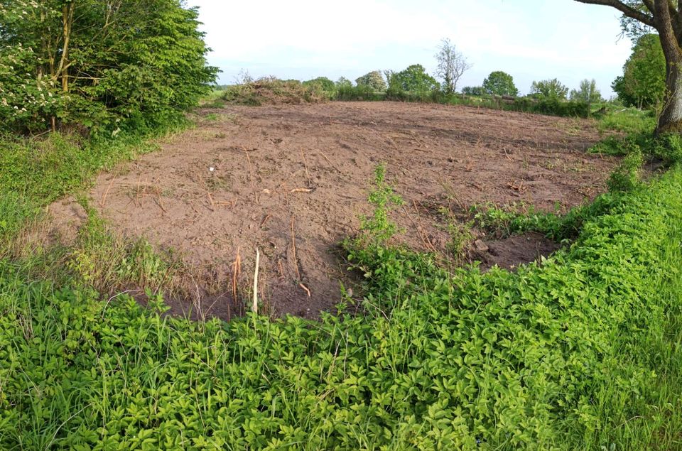 Baugrundstück Jeese, Nähe Grevesmühlen in Grevesmuehlen