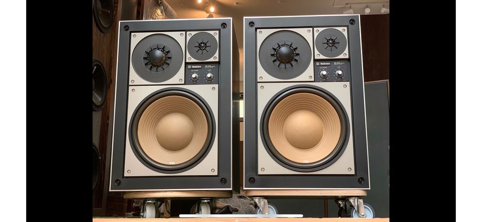 Technics SB-1000 Studio Monitore Lautsprecher in Friedberg (Hessen)