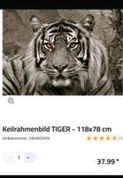 Leinwandbild Deko Tiger Groß Nordrhein-Westfalen - Rhede Vorschau