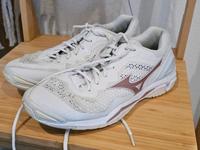 Handball Schuhe, Hallenschuhe, Mizuno, 40 Bayern - Hengersberg Vorschau