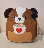 Squishmallow Bundle Nassim, Bernie, Nick Hessen - Aarbergen Vorschau