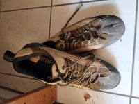 Shimano MTB- Schuhe Größe 45 Bremen - Walle Vorschau