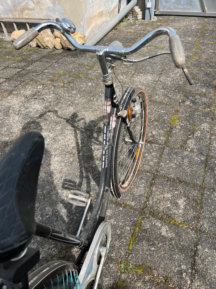 Damenrad 26 Zoll Westfalen vintage 70er Jahre in Schifferstadt