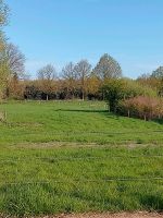 Pferdebox in kleinen gemütlichen Stall frei Niedersachsen - Langwedel Vorschau