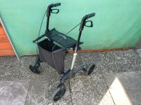 Topro Troja Faltbarer Aluminium Leichtlauf Rollator (Versand) Wandsbek - Hamburg Jenfeld Vorschau