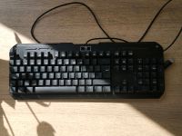 VicTsing I 850 mechanische Tastatur Berlin - Neukölln Vorschau