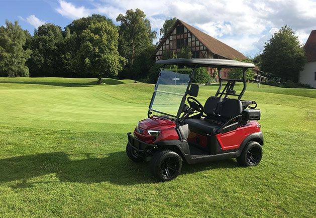 WSM MK1300 PREMIUM GolfCar in Satteldorf