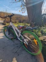 Fahrrad 24 Zoll Bayern - Bad Rodach Vorschau