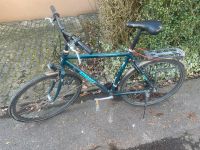 Herren Giant Fahrrad RH 54cm Baden-Württemberg - Lörrach Vorschau