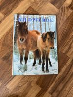 Wildpferd Buch Nordrhein-Westfalen - Bünde Vorschau