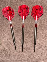 Steel Darts Koto Bayern - Massing Vorschau