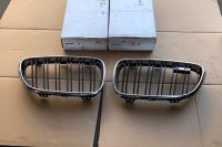 NEU BMW F87 M2 Grill(Niere)Rechts+Links 51712355447/51712355448 Brandenburg - Potsdam Vorschau