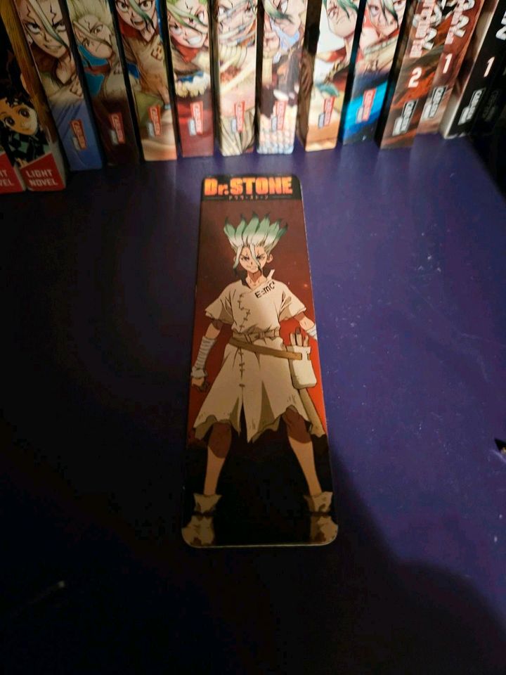 Mangasammlung Auflösung dr. Stone/jujutsu kaisen/naruto... in Ludwigshafen