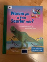 Warum gibt es keine Saurier mehr - Kinderbuch Bayern - Immenstadt Vorschau