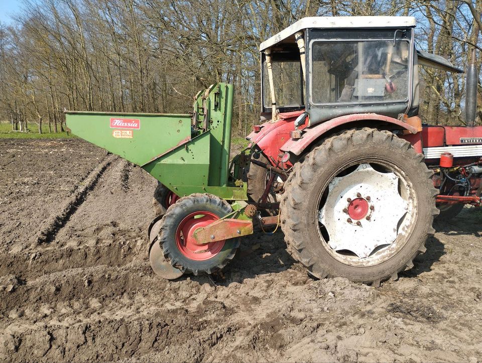 Kartoffel legen  in Lohn in Bismark (Altmark)