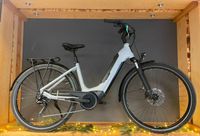 Winora Tria X9 E-Bike Mecklenburg-Vorpommern - Malchin Vorschau