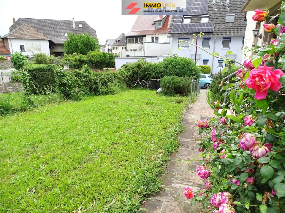 Neu in TOP-Lage: Doppelhaushälfte mit großem Garten! in Breisach am Rhein  