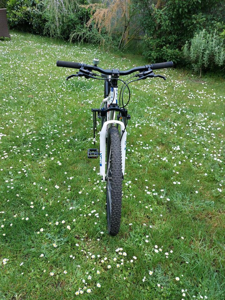 MTB GT Bike in Gießen