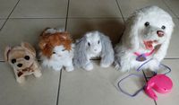 Hasbro FurReal Friends GoGo, Katze, Hase und Hund Nordrhein-Westfalen - Siegen Vorschau