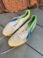 Sprint Schuhe Puma Hessen - Braunfels Vorschau