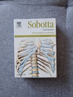 Sobotta Lernkarten - Knochen, Bänder, Gelenke Brandenburg - Wittstock/Dosse Vorschau