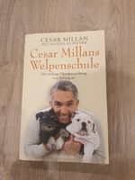 Cesar Millan Welpenschule Bayern - Biessenhofen Vorschau