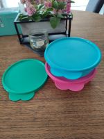 Tupperware Tupperdosen + Ersatzdeckel Niedersachsen - Zeven Vorschau