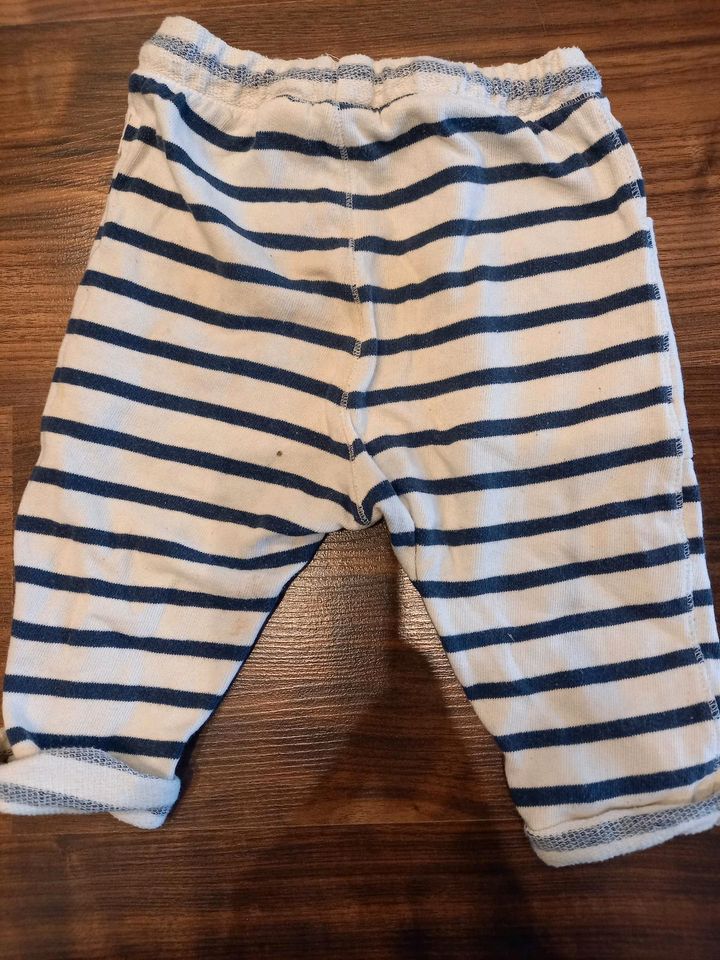 Sommerhose von Zara Gr.80 in Wallenhorst