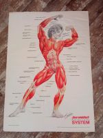 Joe Weider 's System Poster von 1986 Nordrhein-Westfalen - Löhne Vorschau