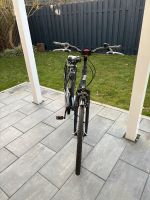 Damen Fahrrad 28 Zoll. 50cm Rahmen Größe Niedersachsen - Gifhorn Vorschau