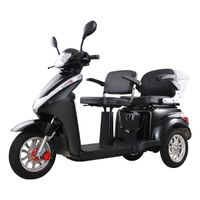 1000W Senorenmobil Elektroscooter ElektroMobil David 2 ZWEISITZER Nordrhein-Westfalen - Korschenbroich Vorschau