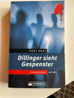 Rudi Kost Dillinger sieht Gespenster Hohenlohe Krimi Baden-Württemberg - Köngen Vorschau