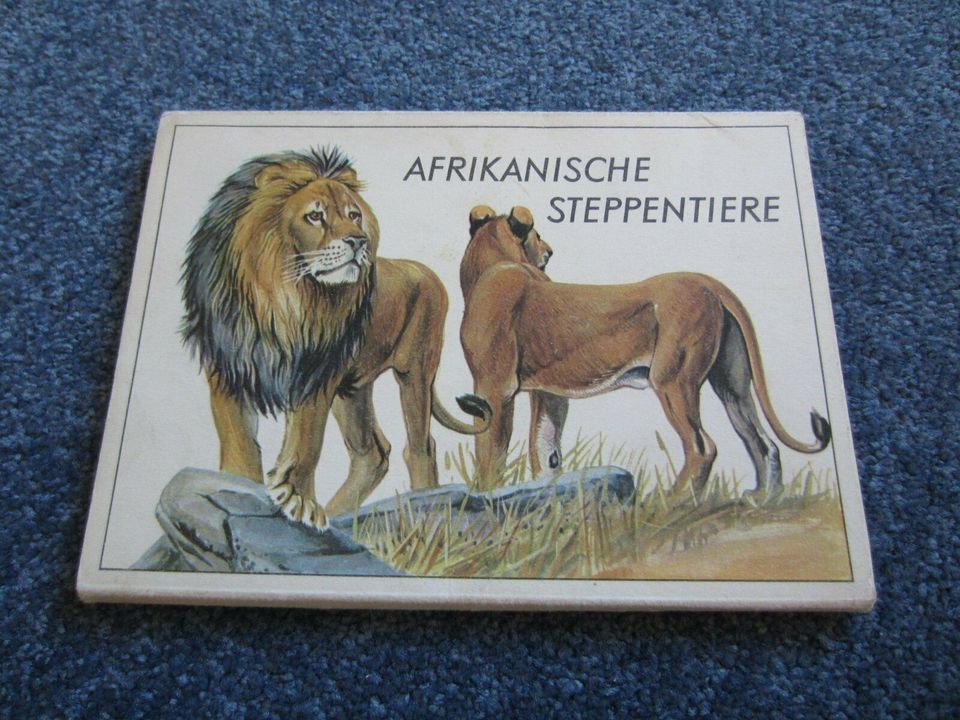 12 Postkarten, DDR-Sammelbildserie 51, afrikanische Steppentiere in Marburg